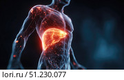 Detailed depiction of human anatomy highlighting liver function and health. Стоковое AI-изображение, AI-художник Александр Довянский / Фотобанк Лори