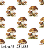 Watercolor repeating pattern of boletus edulis mushrooms with forest elements and natural textures. Versatile design for organic product labels. Стоковое AI-изображение, AI-художник Светлана Леуто / Фотобанк Лори