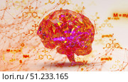 Brain with formulas concept. Стоковая иллюстрация, иллюстратор Роман Будников / Фотобанк Лори
