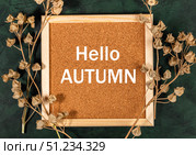 Autumn-themed corkboard with dried flowers and a welcoming message for the season. Стоковое фото, фотограф Наталья Семкина / Фотобанк Лори