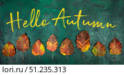 Colorful autumn leaves arranged on textured green background with handwritten greeting Hello autumn. Стоковое фото, фотограф Наталья Семкина / Фотобанк Лори
