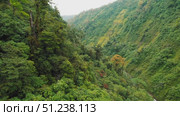 Dense rainforest canopy covering steep green canyon walls in Costa Rica. Стоковое видео, видеограф Igor Tichonow / Фотобанк Лори