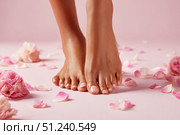 Woman's beautiful bare feet against a pink background. The soles and well-groomed toes and rose petals scattered around. Perfect skin tone. Pastel-colored backdrop for beauty and skin care advertising. Стоковое AI-изображение, AI-художник Марина Демидюк / Фотобанк Лори