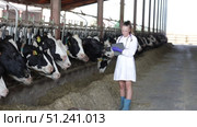 Attentive young female vet using digital tablet to monitor cattle at dairy farm. Стоковое видео, видеограф Яков Филимонов / Фотобанк Лори