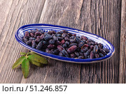 Sweet juicy ripe honeysuckle berries. Стоковое фото, фотограф Андрей Старостин / Фотобанк Лори
