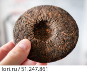 Close-up of Hand Holding a Puerh Tea Cake. Стоковое фото, фотограф Sergakoff / Фотобанк Лори