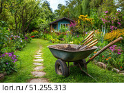 Wheelbarrow in the garden. Barrow with plants soil and shovel gardening tools. Landscape mulch yard work. Organic vegetable garden in urban area. Home grown vegetables. Beautiful backyard arrangement. Стоковое AI-изображение, AI-художник Марина Демидюк / Фотобанк Лори