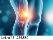 Detailed Visualization of a Human Knee Joint Highlighting Pain Points and Structural Anatomy for Educational and Medical Purposes. Стоковое AI-изображение, AI-художник Башкирова Анна / Фотобанк Лори