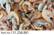 Fresh shrimp piled closely together, showing texture and color for culinary background. Стоковое фото, фотограф Анастасия Золотницкая / Фотобанк Лори