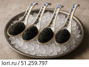 Exquisite Presentation of Delicate Caviar Served in Ornate Spoons on a Bed of Crushed Ice for a Luxurious Dining Experience. Стоковое AI-изображение, AI-художник Башкирова Анна / Фотобанк Лори