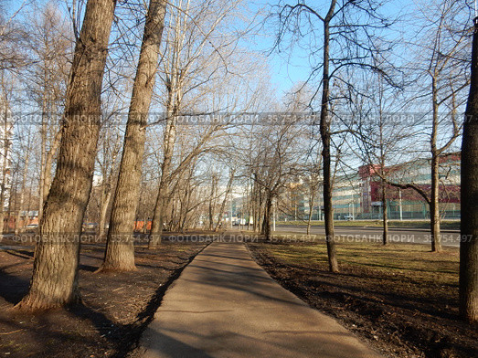 16-ая Парковая улица. Район Северное Измайлово. Город Москва. Россия (2020 год). Редакционное фото, фотограф lana1501 / Фотобанк Лори