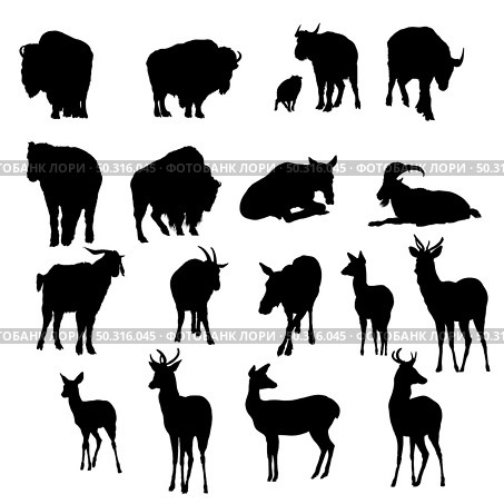 18 deer, yak and goats silhouettes. Smooth and Clean Lines. High detailed deer, yak and goats silhouettes. Vector Illustration. Стоковая иллюстрация, агентство Ingram Publishing / Фотобанк Лори