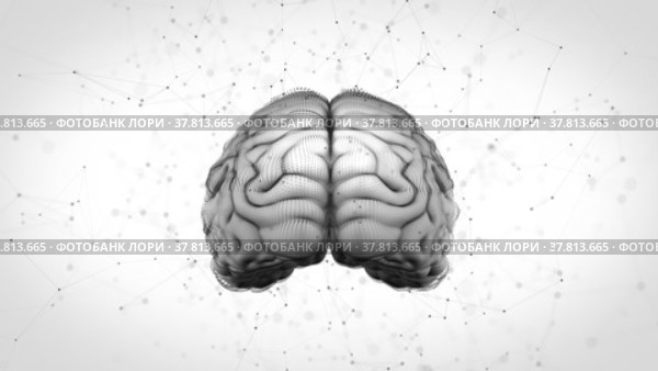 3d render of a human brain rotating on the white background with digital elements. Abstract isolated and animated brain on the blank backdrop. Neurology and science concept for research laboratories. Стоковое видео, видеограф Олег Грач / Фотобанк Лори