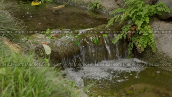 A Beautiful Tranquil Water Stream Surrounded by Lush Greenery and Gentle Soft Cascades. Стоковое видео, видеограф PAv / Фотобанк Лори