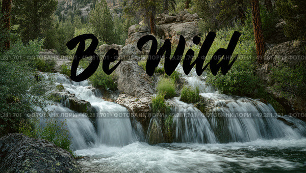 A beautiful waterfall with the words "Be Wild" written below it. Стоковое AI-изображение, AI-художник Ярославский Максим / Фотобанк Лори