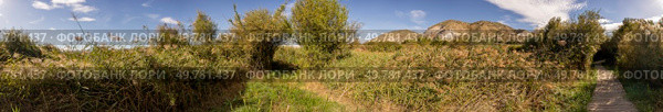 A breathtaking panoramic view of a vibrant green landscape showcasing lush vegetation and majestic distant mountains all beneath a bright clear sky, inviting exploration and serenity. A Serene and Breathtaking Nature Landscape Featuring Majestic Mountains and Lush Green Vegetation. Стоковое фото, агентство Ingram Publishing / Фотобанк Лори