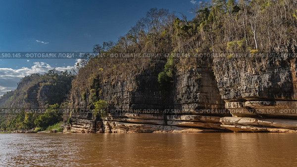 A calm red-brown African river with steep rocky shores. There is green vegetation on the eroded limestone slopes. Blue sky, clouds. Madagascar. Manambolo river (2023 год). Стоковое фото, фотограф Вера Ивановна Кубарева / Фотобанк Лори