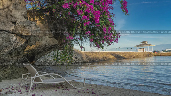 A chaise longue on a sandy beach by the ocean. On an overhanging cliff is a bush of blooming bougainvillea. Fallen purple flowers are scattered on the sand. There is a canopy on the pier, and the boat. Стоковое фото, фотограф Вера Ивановна Кубарева / Фотобанк Лори