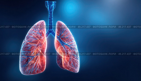 A close up of a red and blue lung. Стоковое AI-изображение, AI-художник Ярославский Максим / Фотобанк Лори