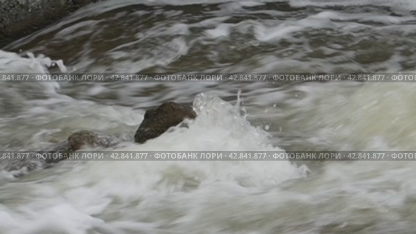 A dark stone in the water stream of a stormy river. Стоковое видео, видеограф Ярославский Максим / Фотобанк Лори