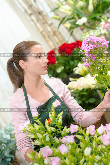 a florist searching a flower. Стоковое фото, агентство Ingram Publishing / Фотобанк Лори