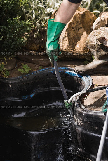 A gardener cleans a decorative pond from foliage and dirt. Construction and cleaning of an ornamental pond in the garden. Landscape design. Стоковое фото, фотограф Photojuli / Фотобанк Лори