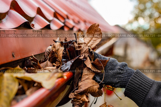 A gloved hand clears the gutter of a red tile roof of fall leaves, preventing clogs and water damage. Стоковое фото, фотограф Коханова Наталья / Фотобанк Лори
