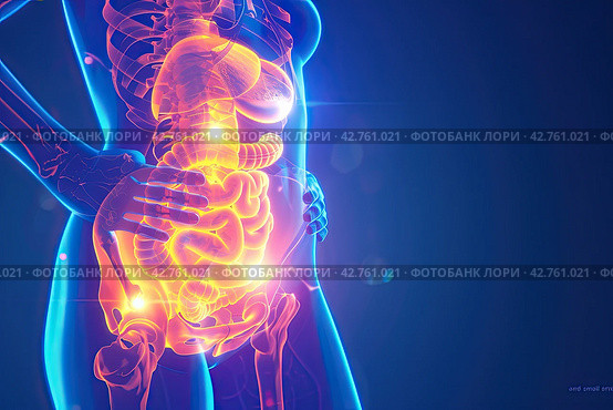 A hologram with human internal organs on a blue background. Anatomical atlas. Стоковое AI-изображение, AI-художник Ярославский Максим / Фотобанк Лори