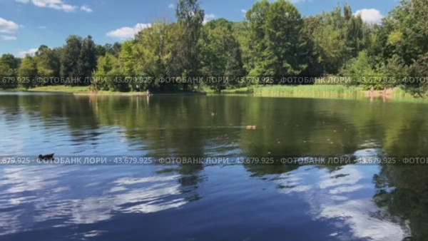 A horizontal panorama of the city's summer pond. Стоковое видео, видеограф Ярославский Максим / Фотобанк Лори