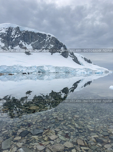 A huge high breakaway glacier in the southern ocean off the coast of Antarctica, the Antarctic Peninsula, the Southern Arctic Circle, azure water, cloudy weather. Стоковое фото, фотограф Vladimir Drozdin / Фотобанк Лори