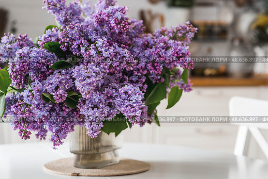 A large purple bouquet of lilacs on the table. In the background is the interior of a modern white Scandinavian-style kitchen. The concept of home comfort and celebration. Стоковое фото, фотограф Photojuli / Фотобанк Лори