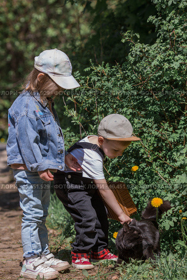 A little girl and a boy in stylish clothes play with a black cat outdoors. The concept of pet care. Children and animals. Стоковое фото, фотограф Photojuli / Фотобанк Лори