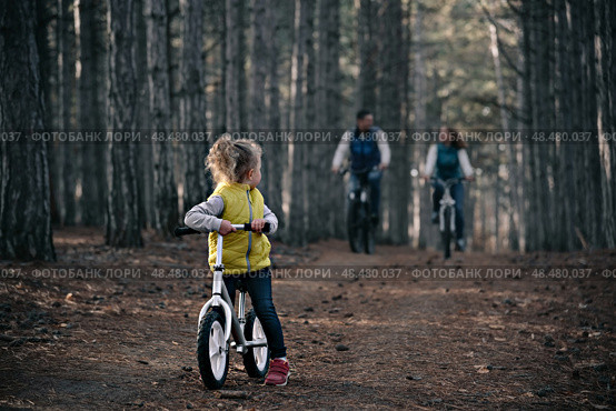 A little girl with her parents ride their bicycles through the forest. Стоковое фото, фотограф София Тюленева / Фотобанк Лори