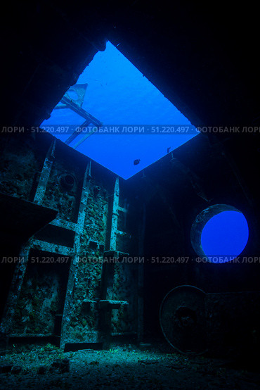 A look inside the USS Kittiwake shipwreck. Jennifer Idol/Stocktrek Images/TASS. Стоковое фото, агентство ТАСС / Фотобанк Лори