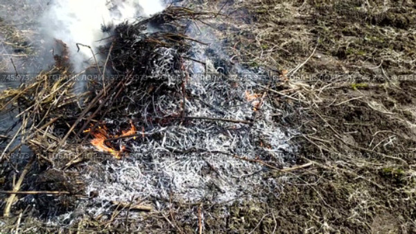 A lot of garbage is burning. Spring garbage collection. Burning garbage in a summer cottage. Gardening work in the spring. Стоковое видео, видеограф Лилия Фролова / Фотобанк Лори