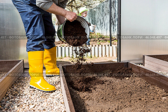 A male farmer pours new soil, soil for a new greenhouse. The concept of spring vegetable planting, greenhouse installation and farming. Стоковое фото, фотограф Photojuli / Фотобанк Лори
