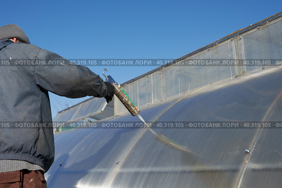 A man seals holes on a polycarbonate greenhouse with a silica sealant from fixing screws. Стоковое фото, фотограф Роман Дзюбало / Фотобанк Лори