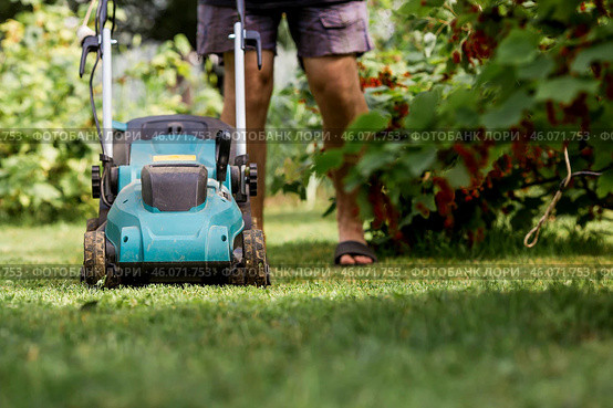 A man with a lawn mower mows the grass in the backyard. Agricultural machinery for garden maintenance. The banner. Стоковое фото, фотограф Photojuli / Фотобанк Лори
