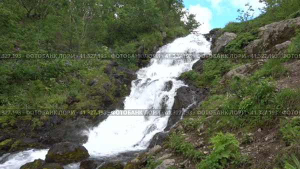 A mountain river cascades down the slope. The water foams and splashes on the rocks. On the banks of the green grass, wildflowers, trees. Blue sky. Kamchatka. Стоковое видео, видеограф Вера Ивановна Кубарева / Фотобанк Лори