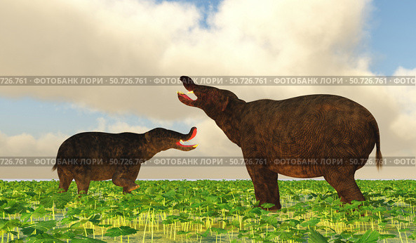 A pair of Platybelodon dinosaurs confront each other in disagreement. Стоковое фото, фотограф Corey Ford/Stocktrek Images / ТАСС / Фотобанк Лори