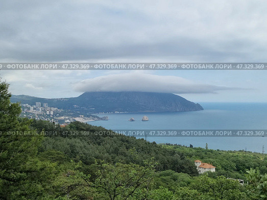 A picturesque view of Gurzuf from above. In the center of the composition is the majestic Mount Ayu-Dag, covered with a thick cap of clouds, like a magic veil. Below is the coast with houses, hotels and a bay in which the famous Adalary rocks are visible, like two guards at the entrance to the sea. Everything is surrounded by dense Crimean forests and greenery, creating a feeling of silence, peace and harmony. The atmosphere is filled with cool freshness, the breath of the sea and the anticipation of something new. Стоковое фото, фотограф Анна Кривицкая / Фотобанк Лори