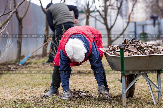 A pile of old leaves, an elderly woman does a spring cleaning in the garden. Cleans the lawn of leaves. Gardening. Cleaning and preparing the garden for the summer season. Стоковое фото, фотограф Photojuli / Фотобанк Лори