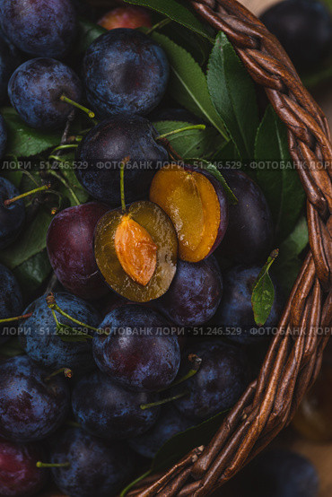 a plum cut in half lies on top of other whole plums. Стоковое фото, фотограф Светлана Денисова / Фотобанк Лори