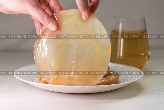 A SCOBY used for Kombucha Brewing is being held in hands, showcasing the process involved. Стоковое фото, фотограф Ольга Коваленко / Фотобанк Лори