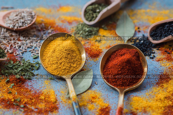 A set of fragrant spices. Turmeric, paprika, dried parsley, dill, rosemary, cumin, garlic, bay leaf and a bottle of oil on a gray background. Free space. Стоковое фото, фотограф Photojuli / Фотобанк Лори