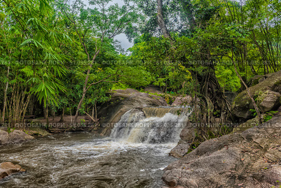 A small picturesque waterfall surrounded by dense tropical jungle. Water falls rapidly from stone ledges, forming a foamy stream that continues its way along the rocks. Around is dense greenery of bamboo and trees with powerful roots, entwining the rocks, creating an atmosphere of untouched nature. Стоковое фото, фотограф Анна Кривицкая / Фотобанк Лори