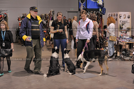 A visitor with dogs at the White Nights exhibition. Стоковое фото, фотограф Анна Кривицкая / Фотобанк Лори