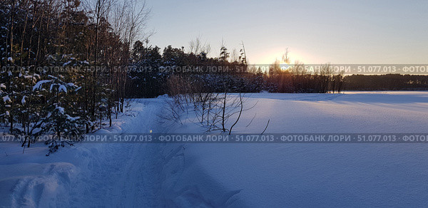 A winter landscape with a snow-covered path leading through the forest, taken at sunset. The sun is low on the horizon, golden rays break through the bare branches of the trees, painting the snow in warm shades. On the left are dense coniferous and deciduous trees covered in snow, on the right is a spacious frozen field or lake, completely covered in untouched snow cover. The sky is clear, with a slight blue tint, creating an atmosphere of peace and quiet. Стоковое фото, фотограф Анна Кривицкая / Фотобанк Лори