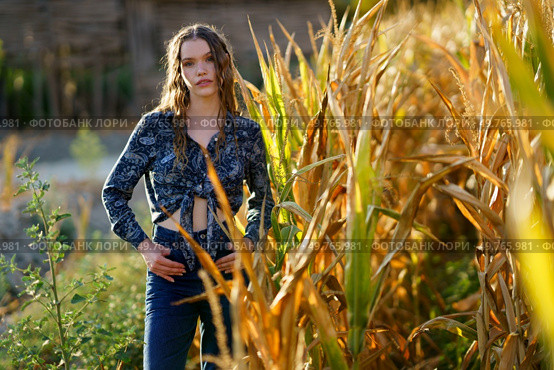A young woman stands confidently posing amidst the towering corn stalks, beautifully capturing the true essence of rural life and the serene, picturesque beauty of the idyllic countryside setting. A stunning portrait captures a young womans beauty in a beautiful cornfield during the sunset. Стоковое фото, агентство Ingram Publishing / Фотобанк Лори