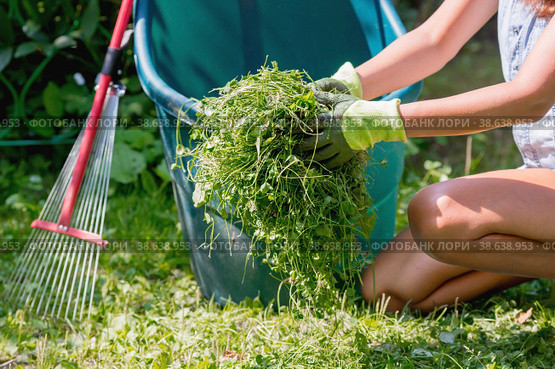 A young woman works in the backyard of the house and collects grass with a rake after a mower. The concept of housework, gardening and country life. Стоковое фото, фотограф Photojuli / Фотобанк Лори